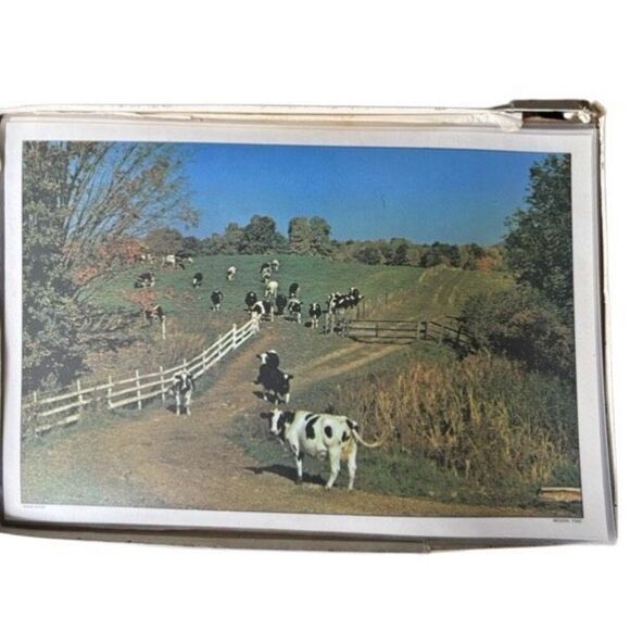 4-H Kinzua Country Placemats Kinzua State Park Pennsylvania Set Of 6 - Picture 6 of 9